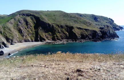 Gite des ajoncs - La Hague - Foto 9