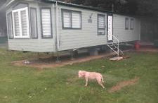 Cosy caravan in Billing Aquadrome - Foto 49