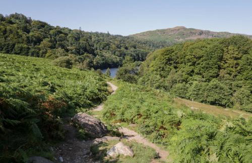 Hideaway Cottage - Foto 19