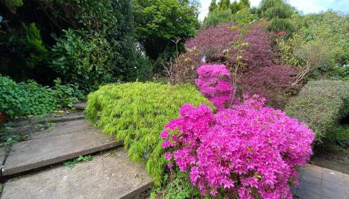 Tamarisk - Foto 2, Garden