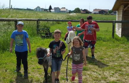 Reiterhof vom Litzlbach - Foto 57