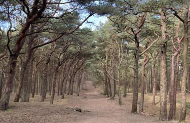 6 bed detached house Formby Royal Birkdale The Open 2026 - Foto 3