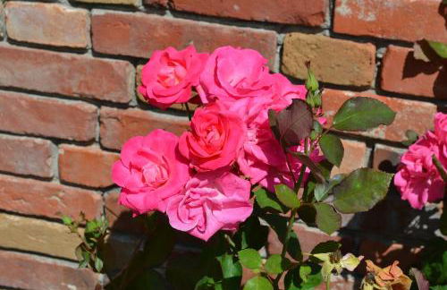 Ferienwohnung Süderfeld - Foto 71