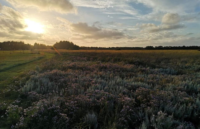 Family-friendly Oasis - By Traum Ferienwohnungen - Photo 14