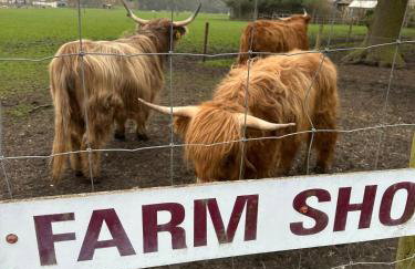 The Old stables Barn - Foto 18