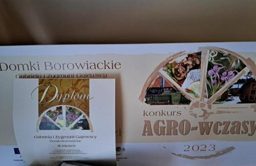 Domki Borowiackie nad brzegiem jeziora - Foto 10