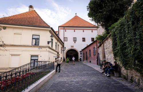 Deluxe apartman Egle1with a private parking i studio Egle 2 - Foto 47