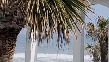 Paradise In New Smyrna Beach Florida - Foto 4