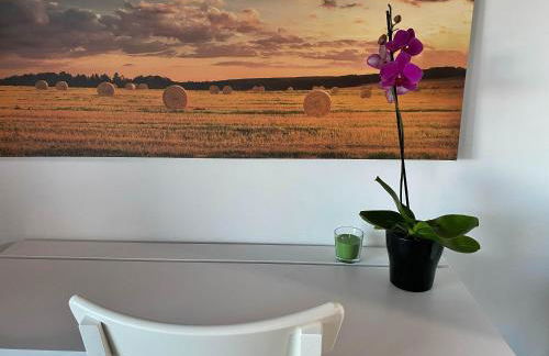 Agriturismo Albana - Foto 25