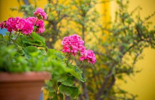 AnnaDes Apartments & Studios Chios - Photo 29