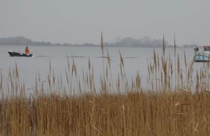 Ferienhaus Gut Rattelvitz Insel Rügen - Foto 16