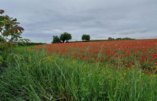 Le Panchette _ Pool & Bike - Foto 44
