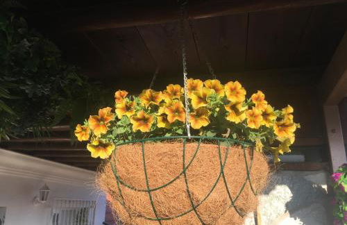 Apartment with private patio - Photo 6