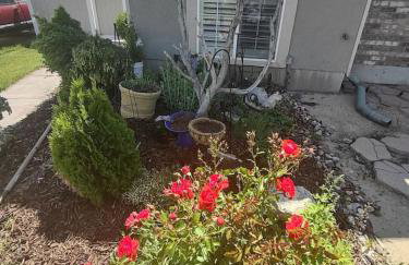 Farmington Gem, fenced yard, sleeps 6 - Foto 42