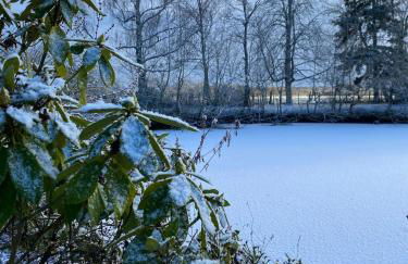 La Maison de l'étang - Foto 30