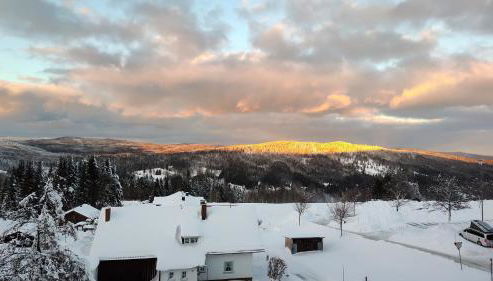 Two Apartaments Almberg - Mitterdorf-Mitterfirmiansreut - Foto 3