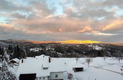 Two Apartaments Almberg - Mitterdorf-Mitterfirmiansreut - Foto 3