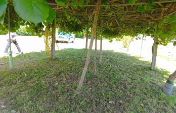 EnSan CIPRIAN Casa Lula - Foto 41