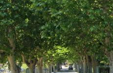 Appartement climatisé avec jardin 4 personnes - Foto 36
