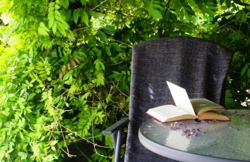 Meio Country House - Foto 33