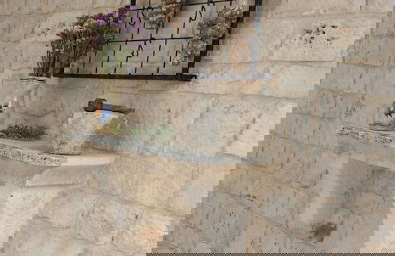 Masseria Gianca - Foto 35