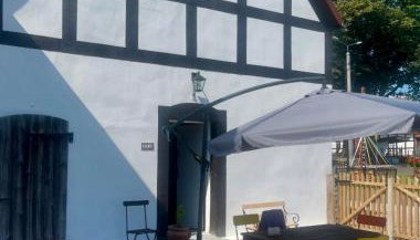 Winnica Bursztynowa - Foto 4, Garden