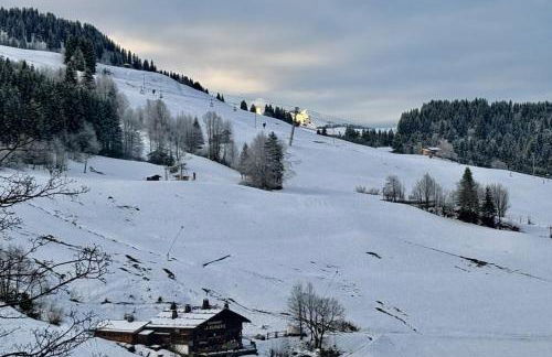 Bright apartment for 6 in Le Grand-Bornand - Foto 18