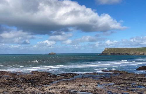 Hollyhocks - Foto 18