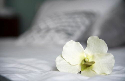 Les Petites Maisons - Foto 14