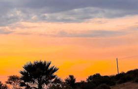 Tangerine Tree House - Foto 10