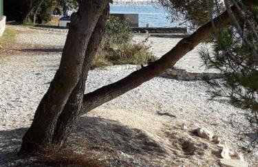 Villa Laurus - Foto 36