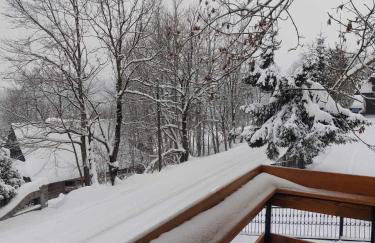 Dom Tatrzański Widok - Foto 30