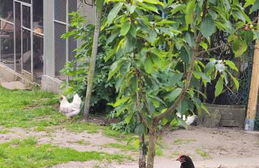 Nikis FeWo an den Dörenther Klippen - Foto 32