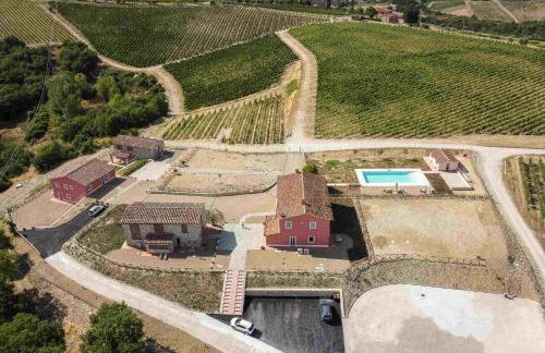 Castello Vicchiomaggio - Foto 20