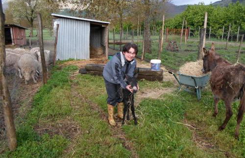 Azienda Agrituristica Pericle - Foto 29