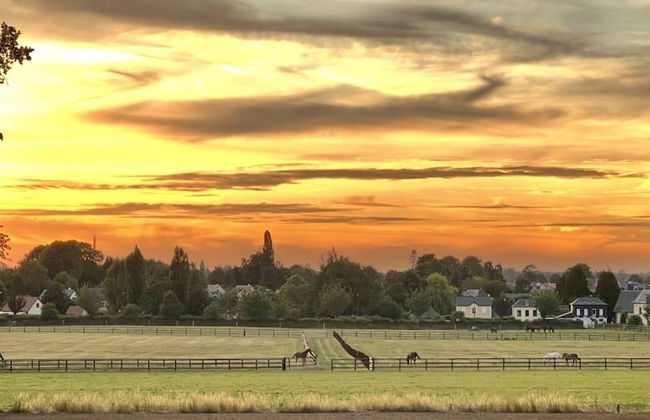 Château de Saint-Maclou - Photo 32