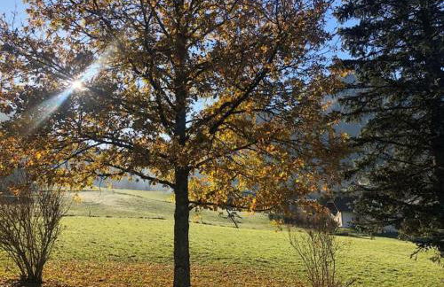 Chalet de montagne Pierre et Gaby non-fumeur hôte non professionnel - Foto 12