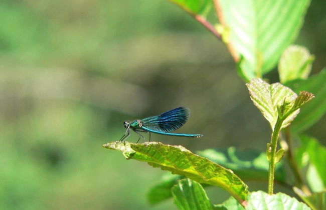 Quiet Holiday Home With Terrace - Foto 19