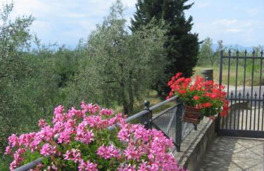 Agriturismo Villani Poderi Nesti & Cupoli - Photo 49