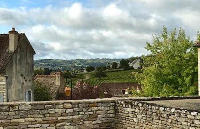 La Maison du Grand Four en Bourgogne, Au coeur de Vignes, Piscine et Sauna - Foto 54