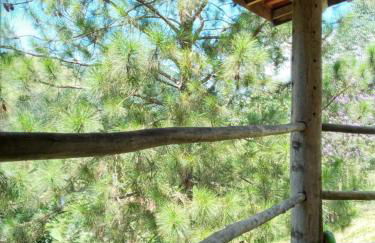 Chácara das Araucárias - Foto 43