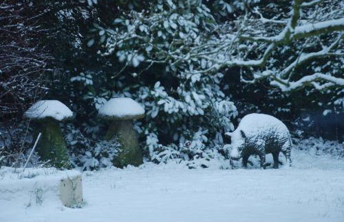 Garden Studio Spring Cottage - Foto 25