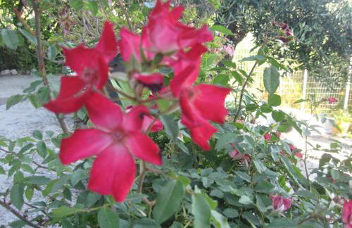 Areti Studios - Foto 63