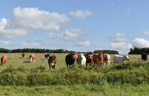 Swallows Nest - Uk12085 - Foto 11