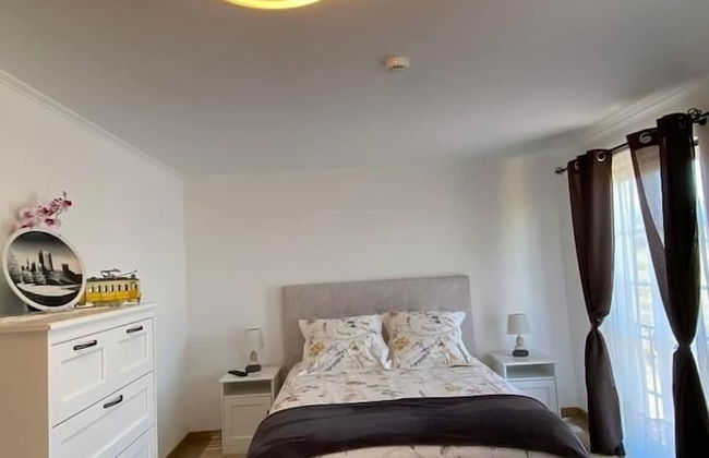 Terra Luso - Foto 16