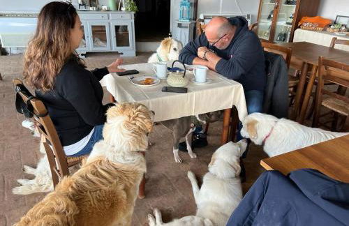 SetterHouseAgriHotel - Photo 28