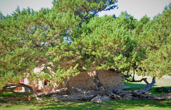 Siamo Bella - Foto 26