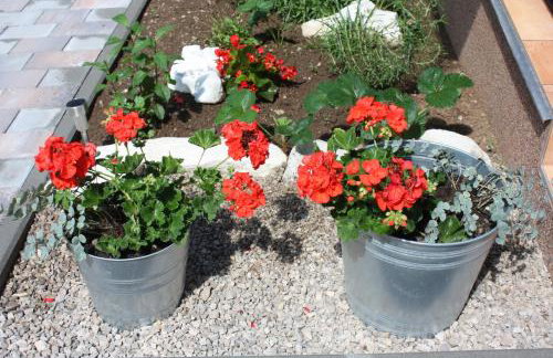 D.I.M. Holiday House - Foto 13