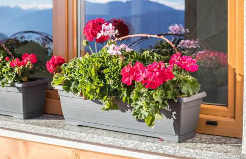 Tonigbauernhof Blumenwiese - Foto 24