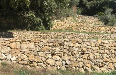 L'Olivier Fleurie Barjols - Foto 18